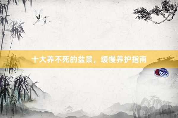 十大养不死的盆景，缓慢养护指南