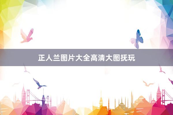 正人兰图片大全高清大图抚玩