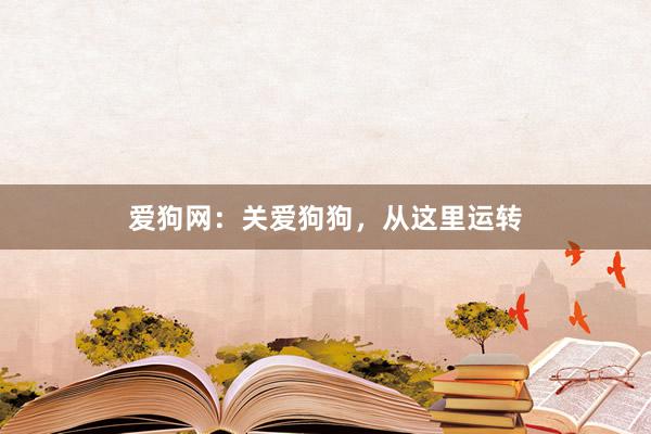 爱狗网：关爱狗狗，从这里运转